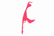 Medusa Sylt logo
